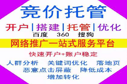 行业领先企业如何运用SEM进行精准营销